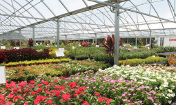 Earth Day Sustainable Gardening Tips