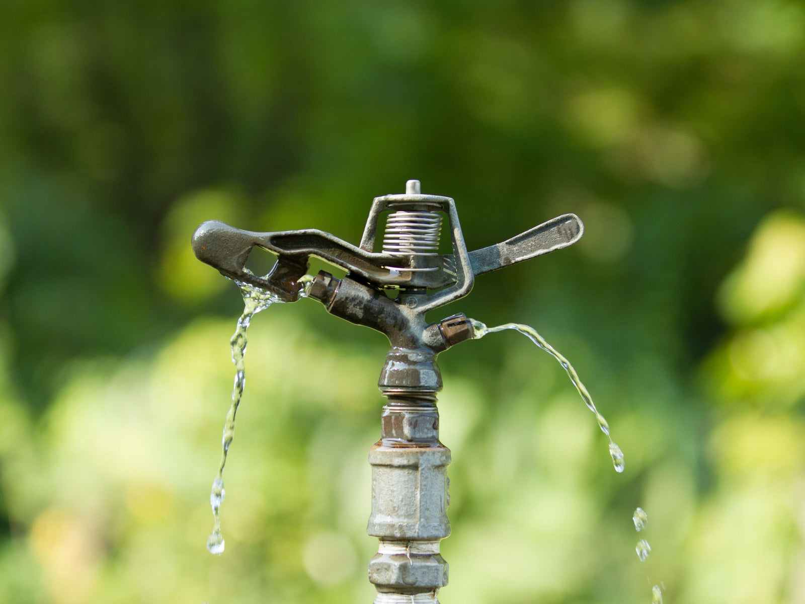 sprinkler head with water coming out