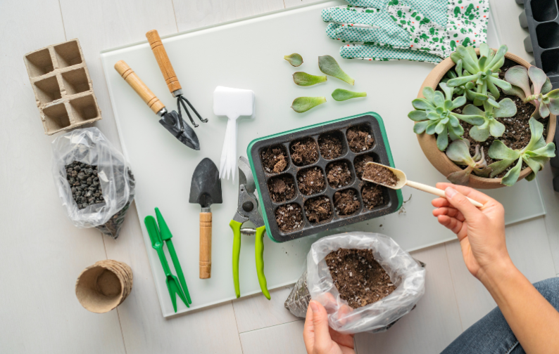 Garden Adventures: Fun and Educational DIY Projects for Kids this Summer