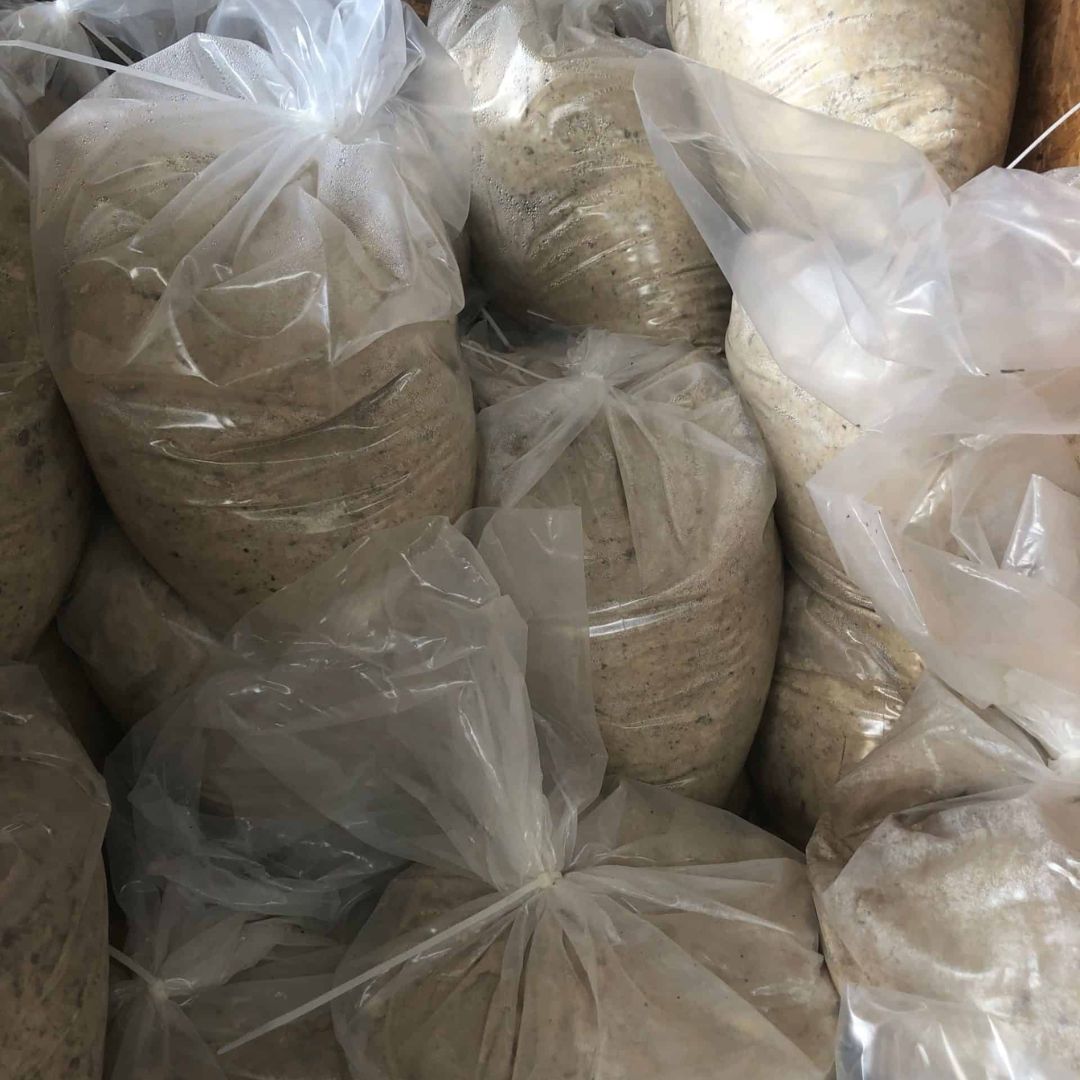 A-3 Sand sold in 50 pound bags