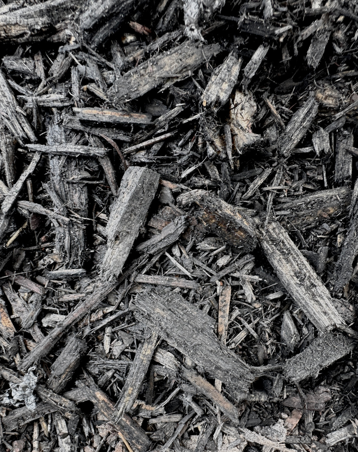 Absolute Black Mulch