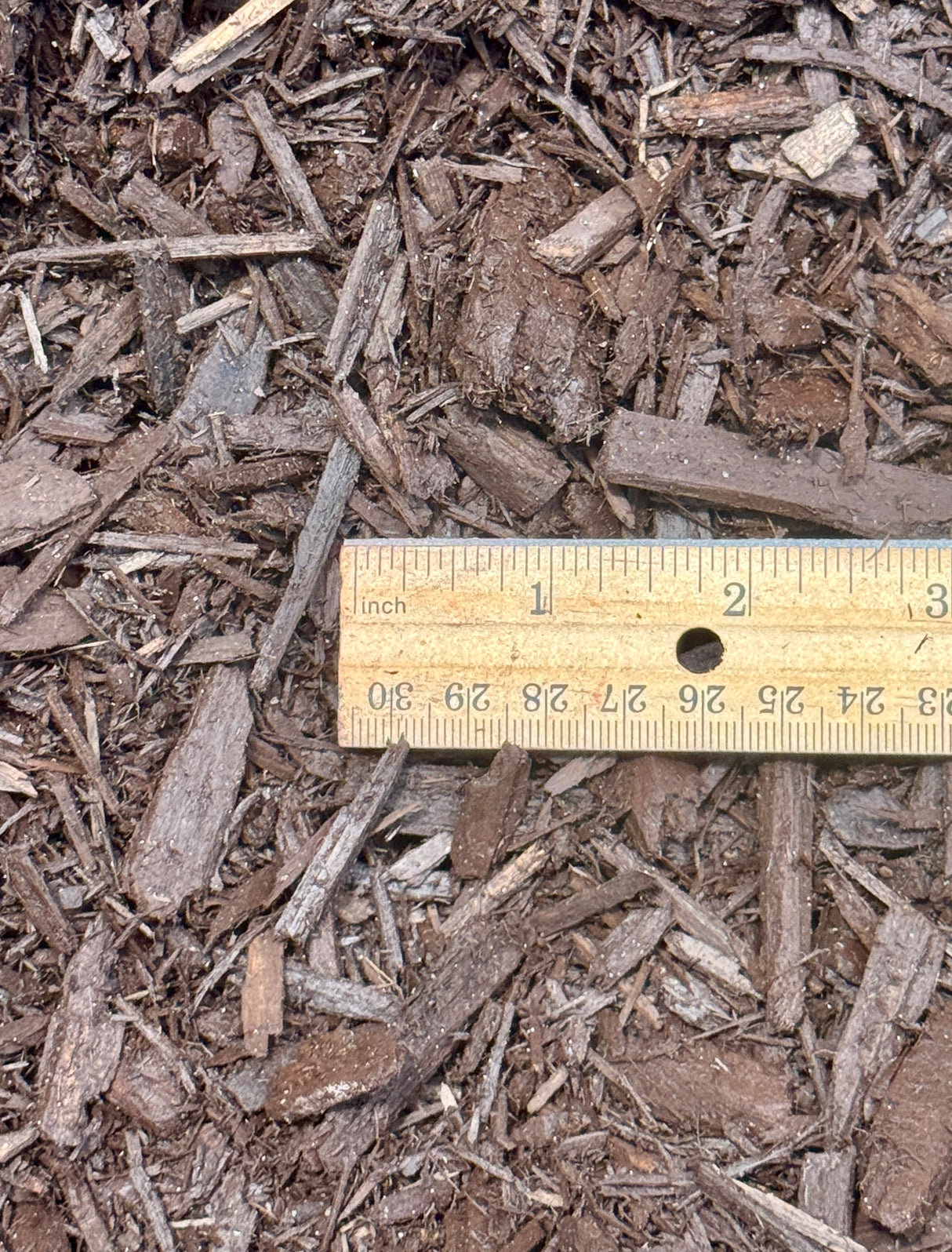 coffee brown mulch compared to wooden ruler