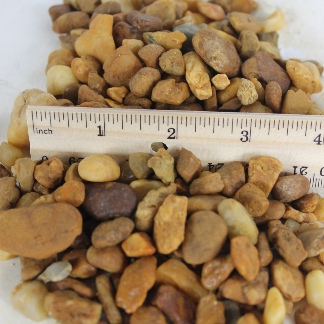brown pea gravel compared against a ruler