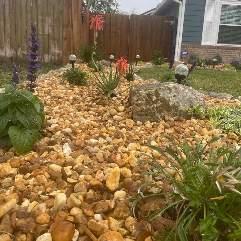brown river rock used in garden bed