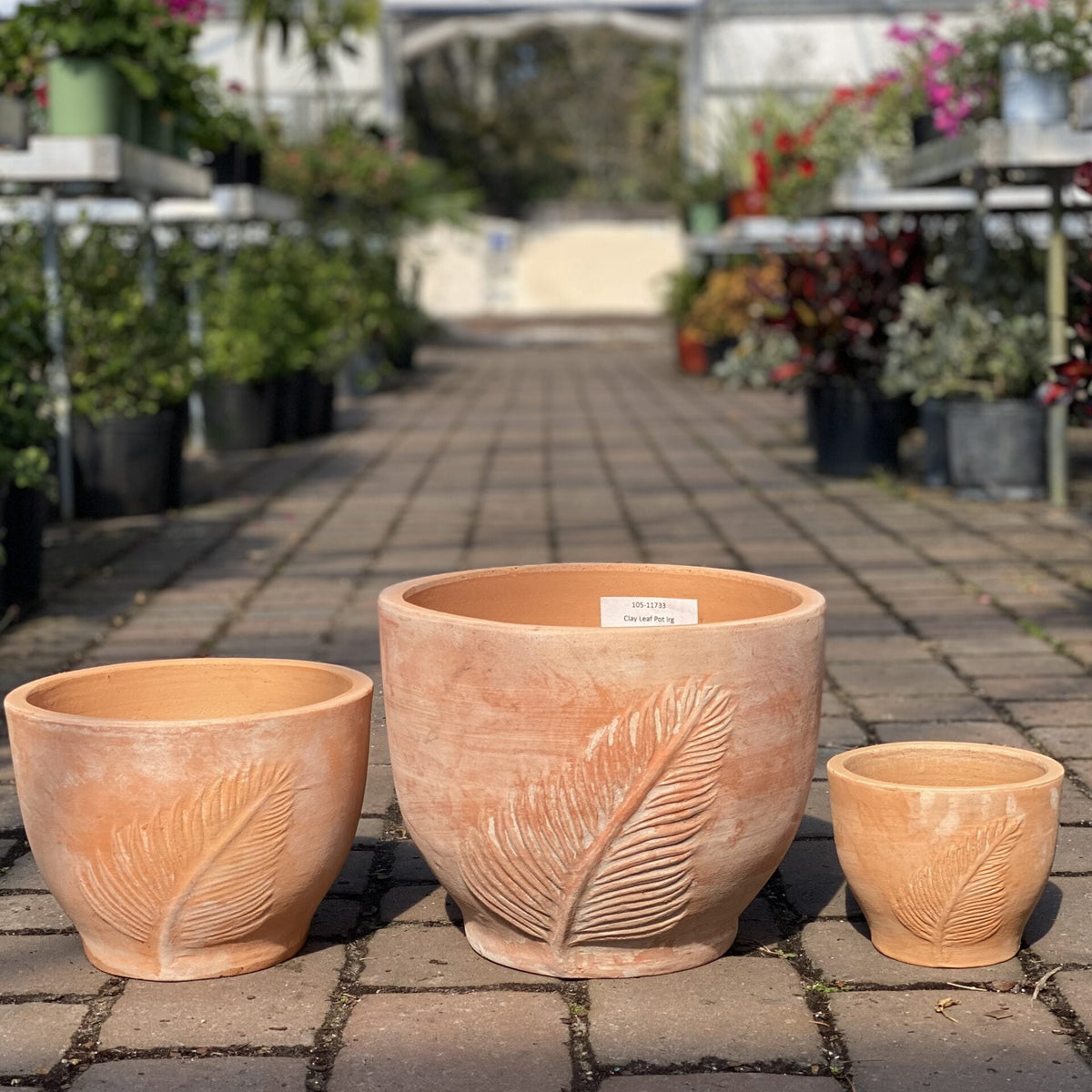 plants clay pots Clay Leaf Round Pot – Liberty Landscape Supply