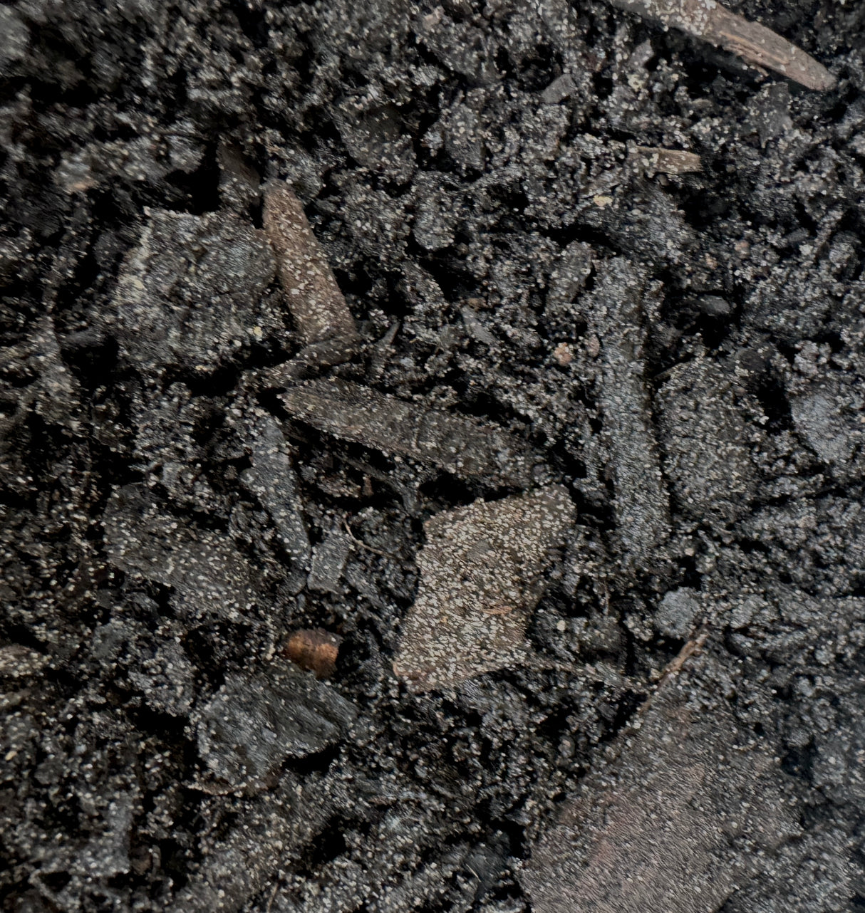 Close-up of dark compost with nutrients and organic matter