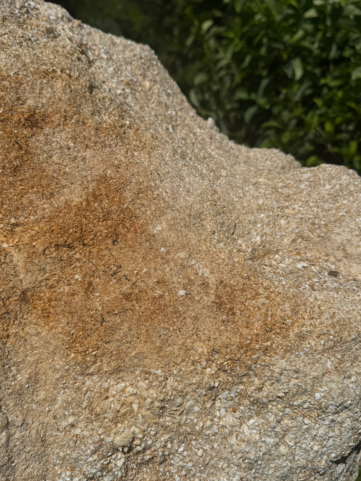 Close-up of a textured stone surface with brown discoloration
