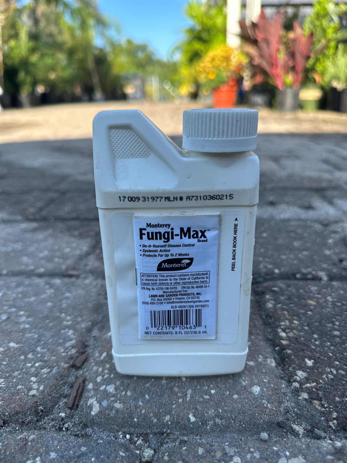 Fungi-Max Concentrate