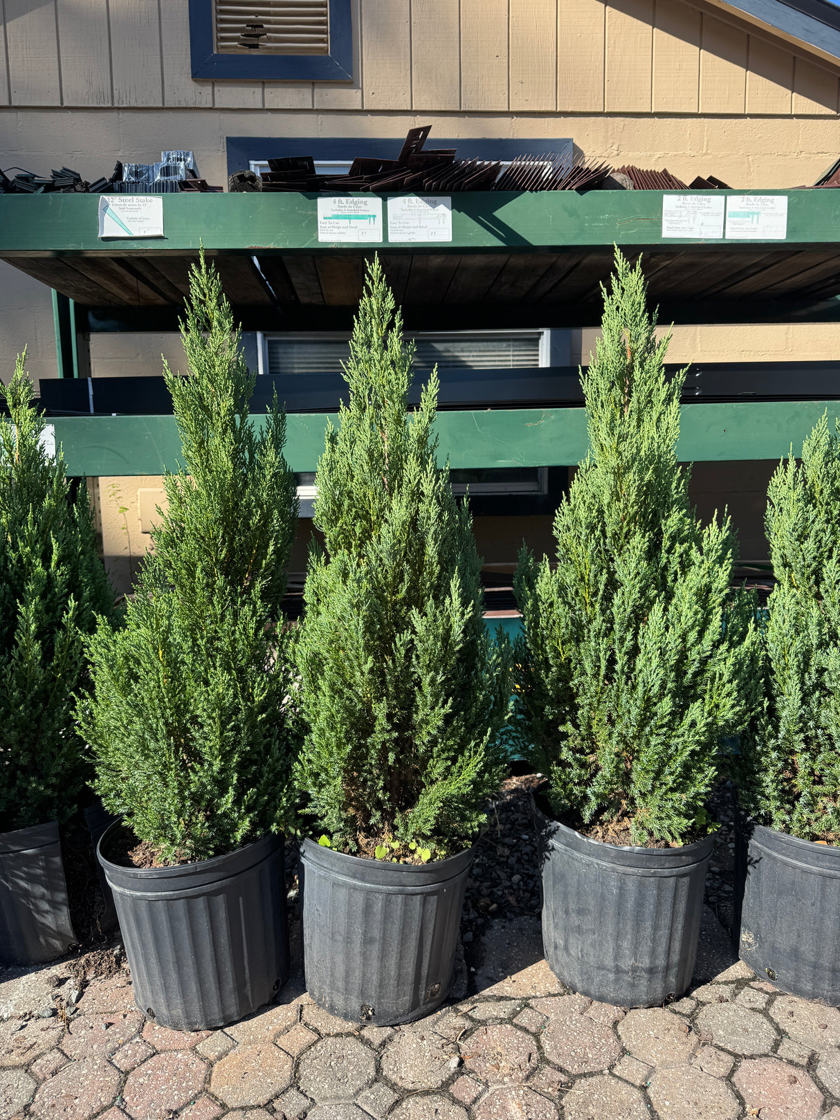 Top-down view of a building with green trees in front