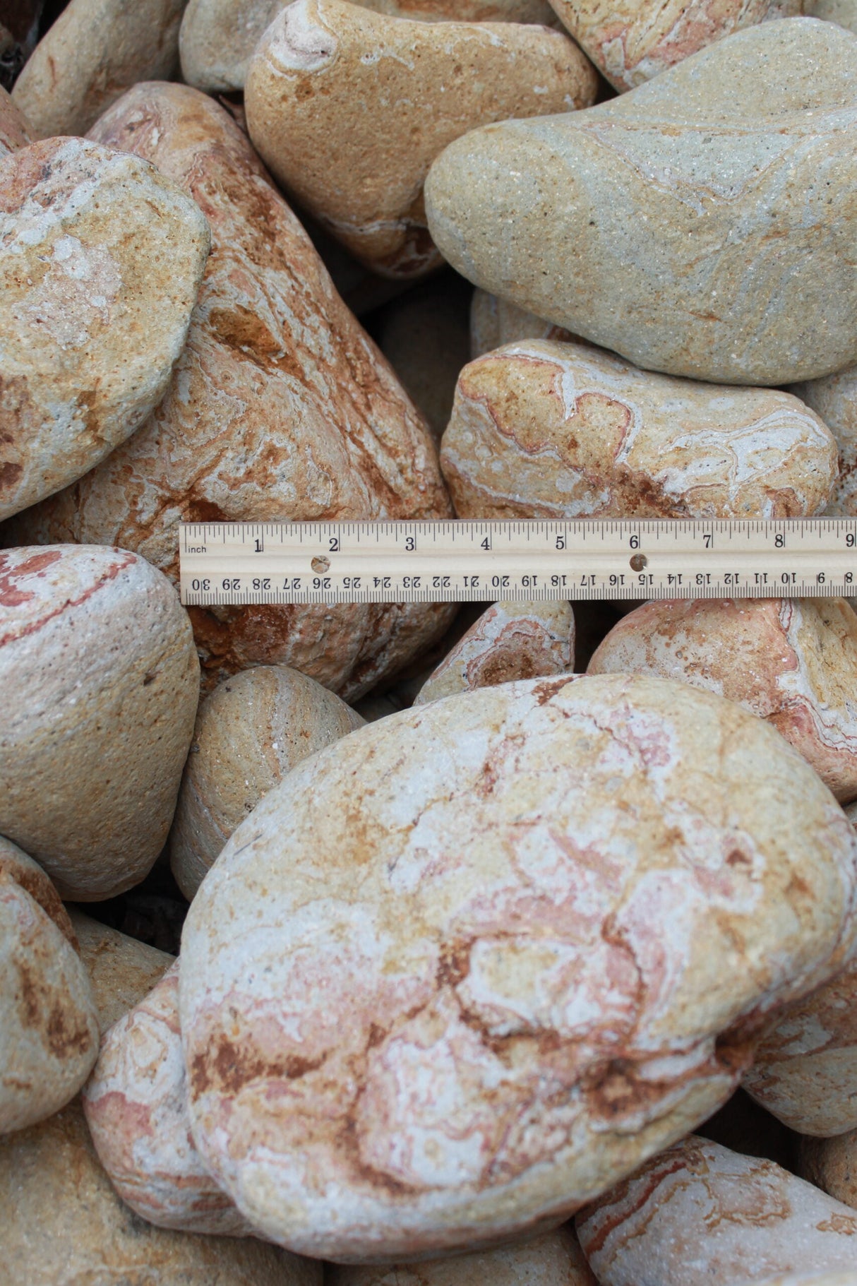 large royal rainbow stone compared to ruler