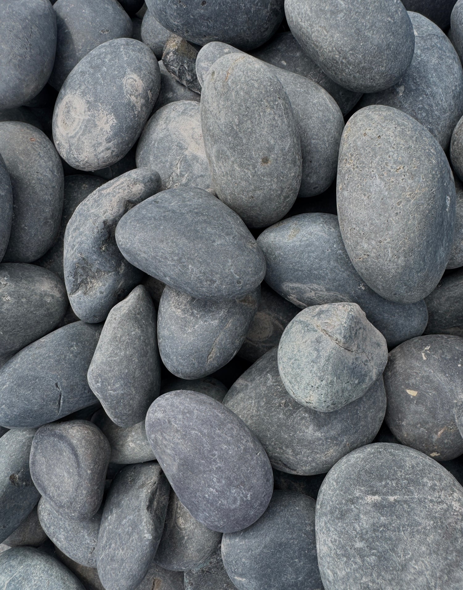 Close-up of gray Mexican Beach Pebble