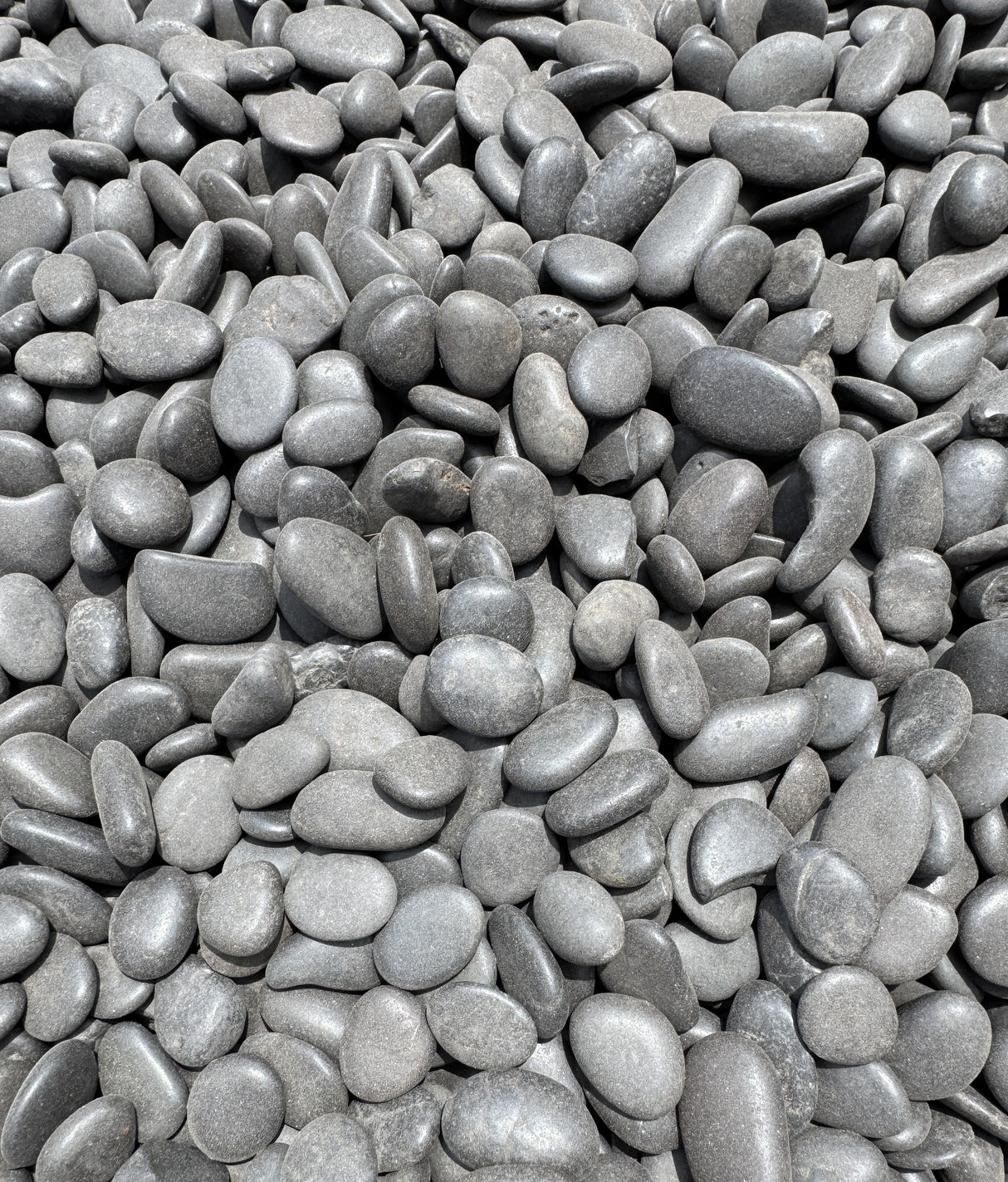 grey and black Mexican Beach Pebble