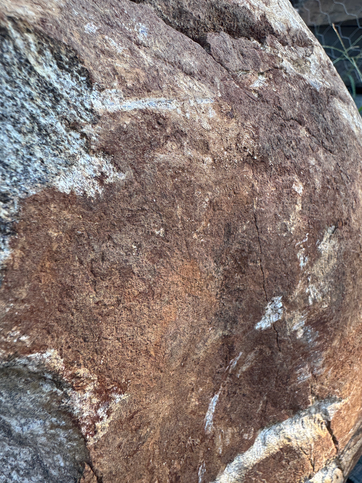 Close-up of a textured NC boulder surface with brown and gray colors