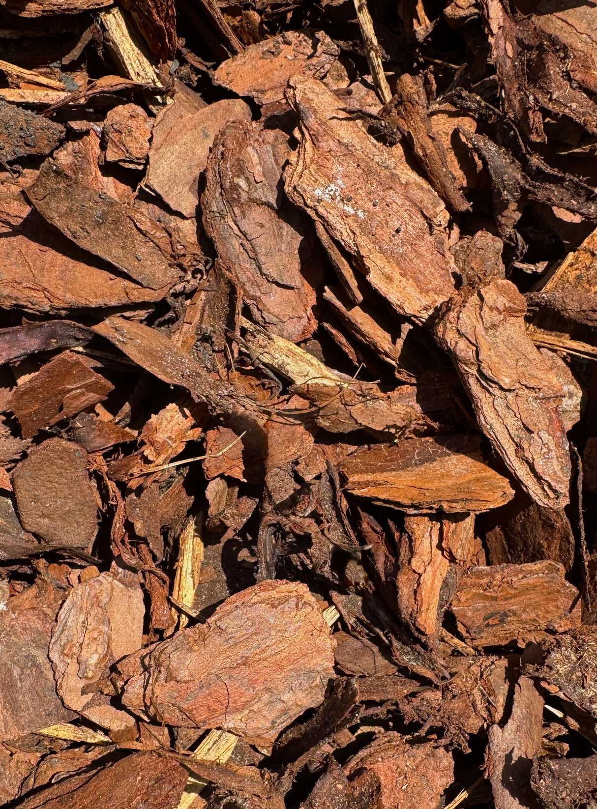 many shades of brown pine bark nuggets