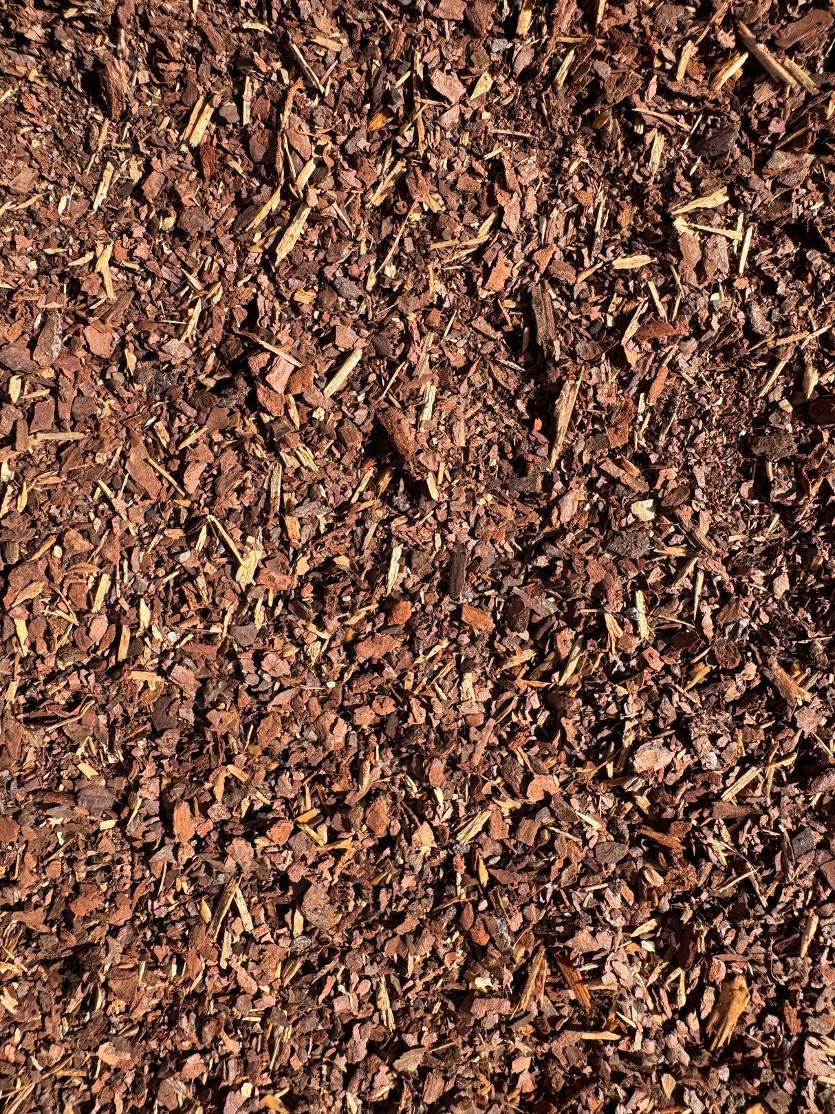 close-up of brown pine fines