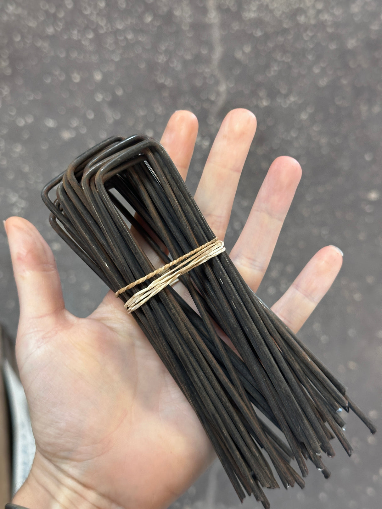 Landscape Fabric Pins - 25 pack