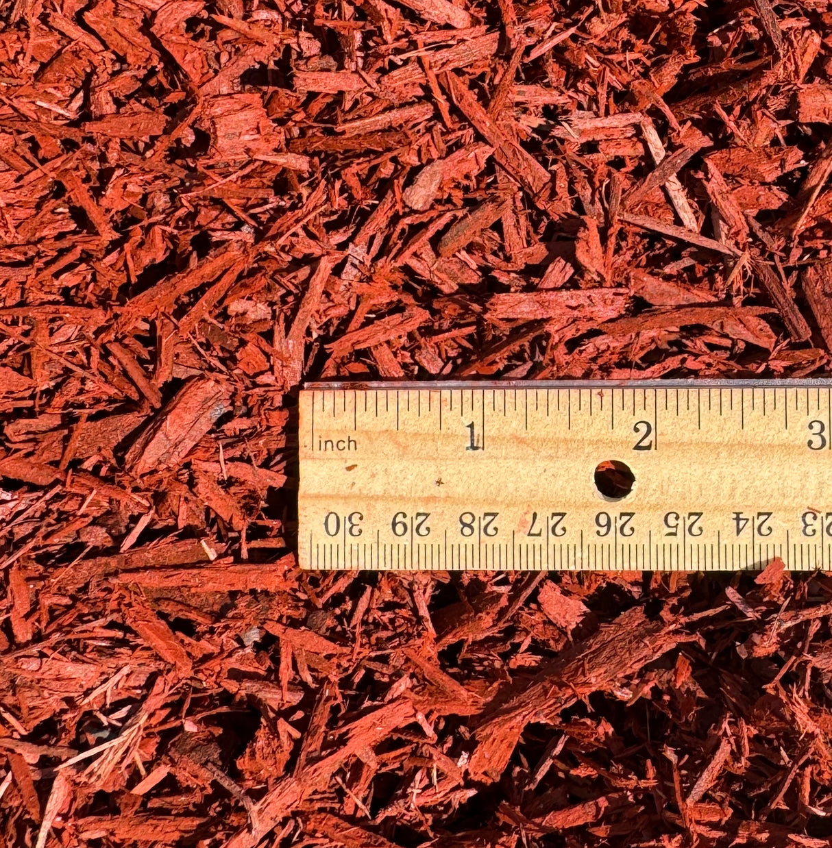 bright red much compared against wooden ruler