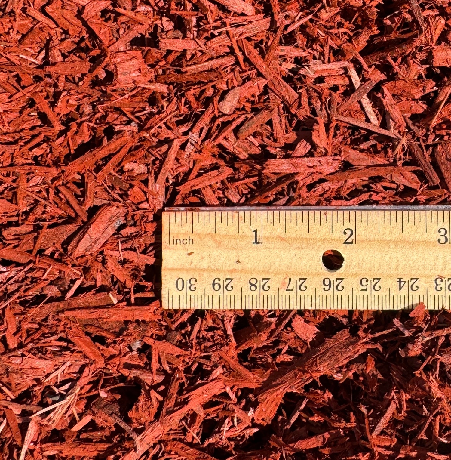 bright red much compared against wooden ruler