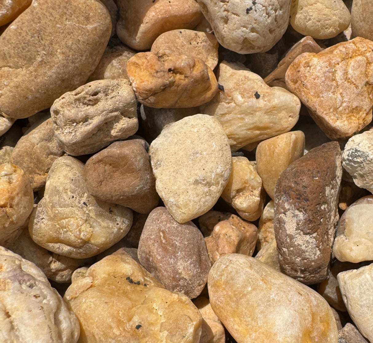 shades of cream, brown, and tan make up a pile of brown river rock