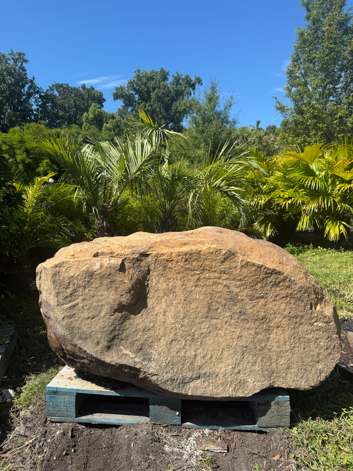Large stone in a garden with greenery and blue sky