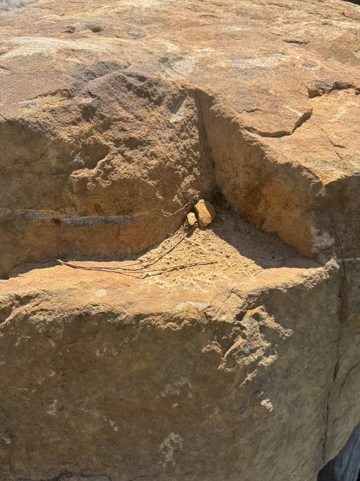 Close-up of a textured stone surface with natural patterns