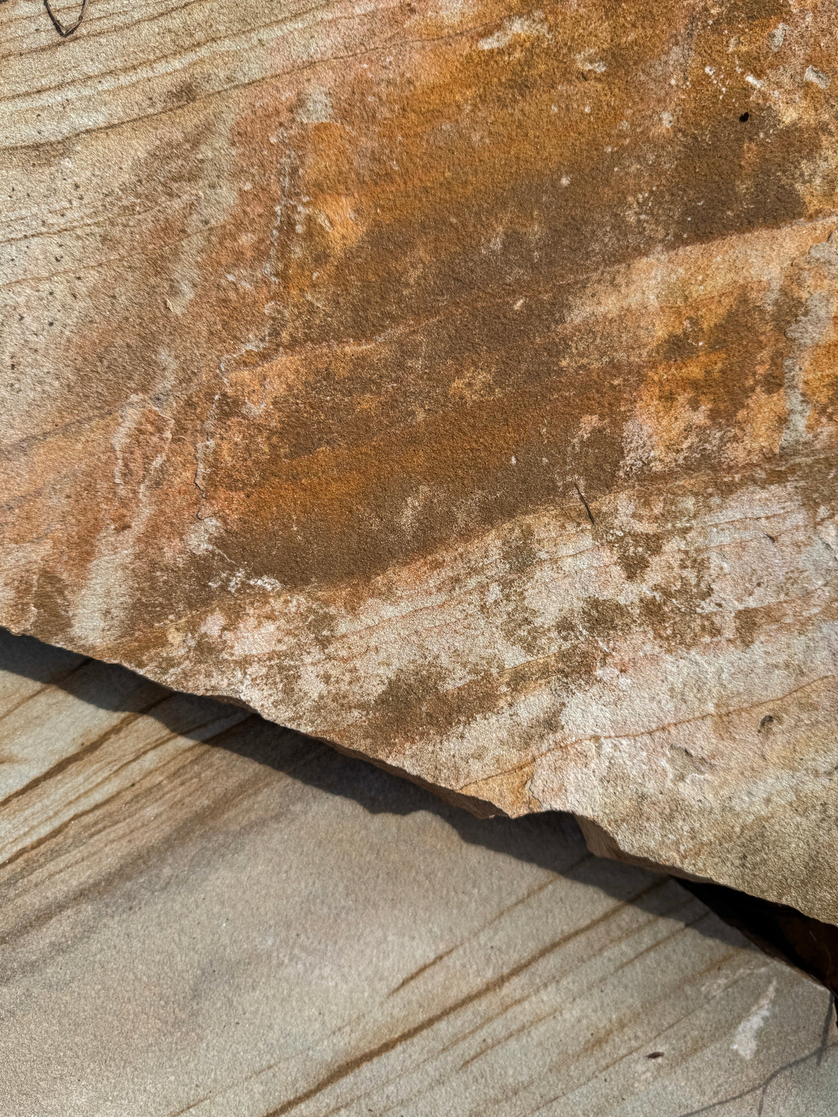 Close-up of a textured stone surface with brown and beige tones.