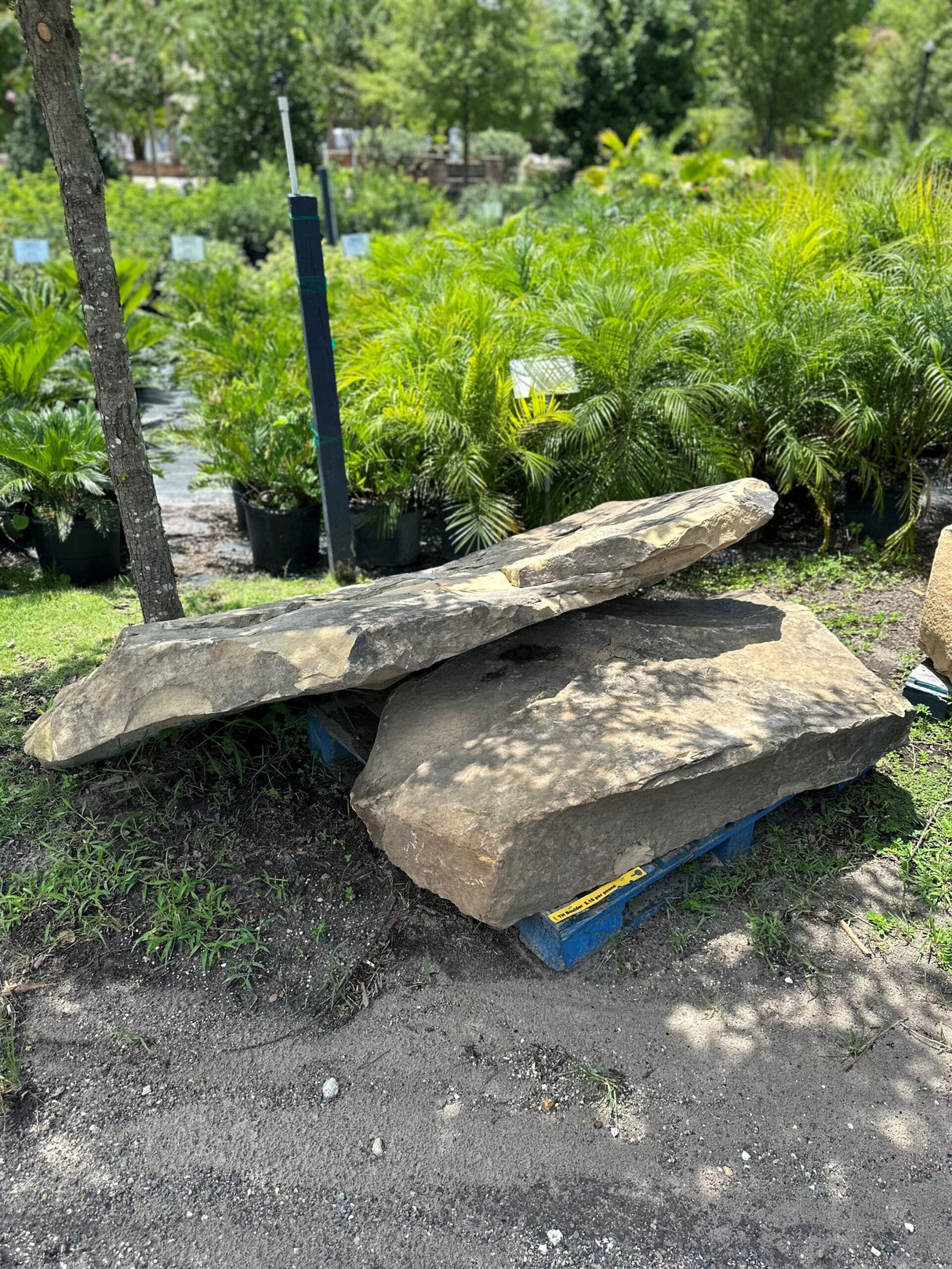 flat Tennesse boulder for sale at nursery