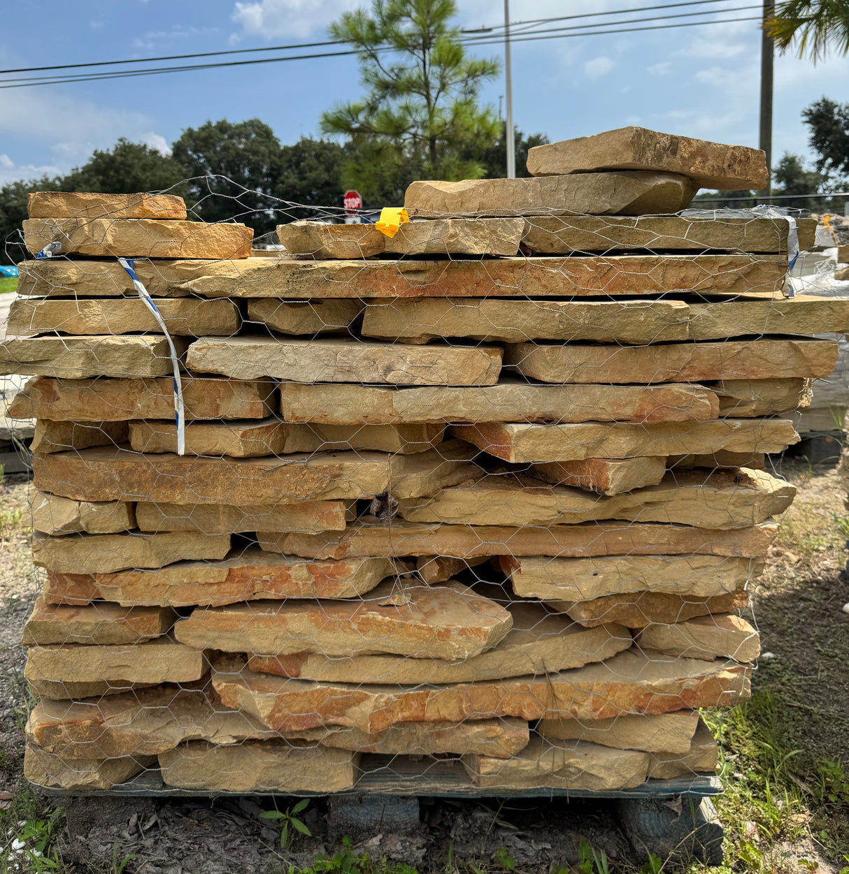 TN Brown Variegated Flagstone