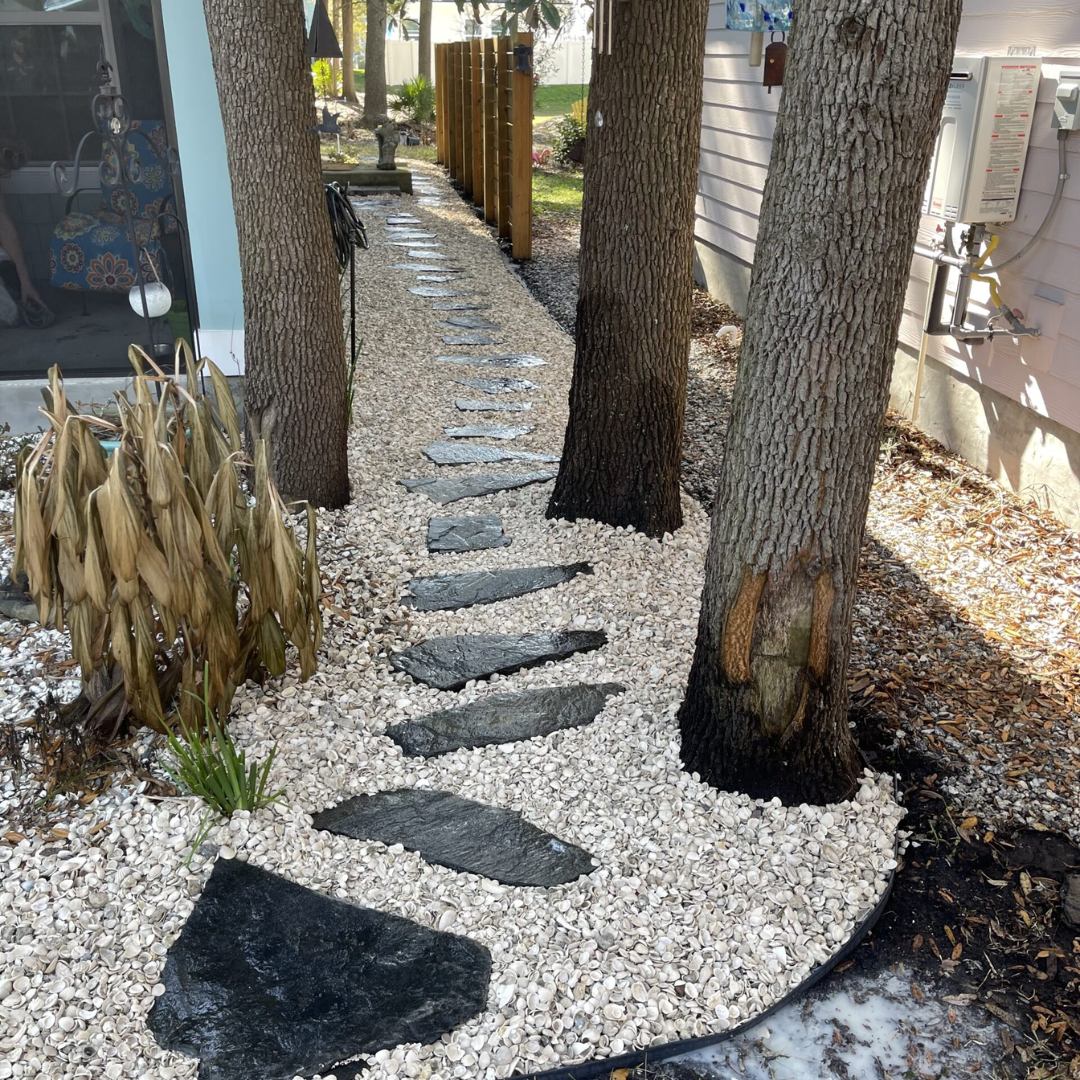 white shell making up yard pathway with grey stones