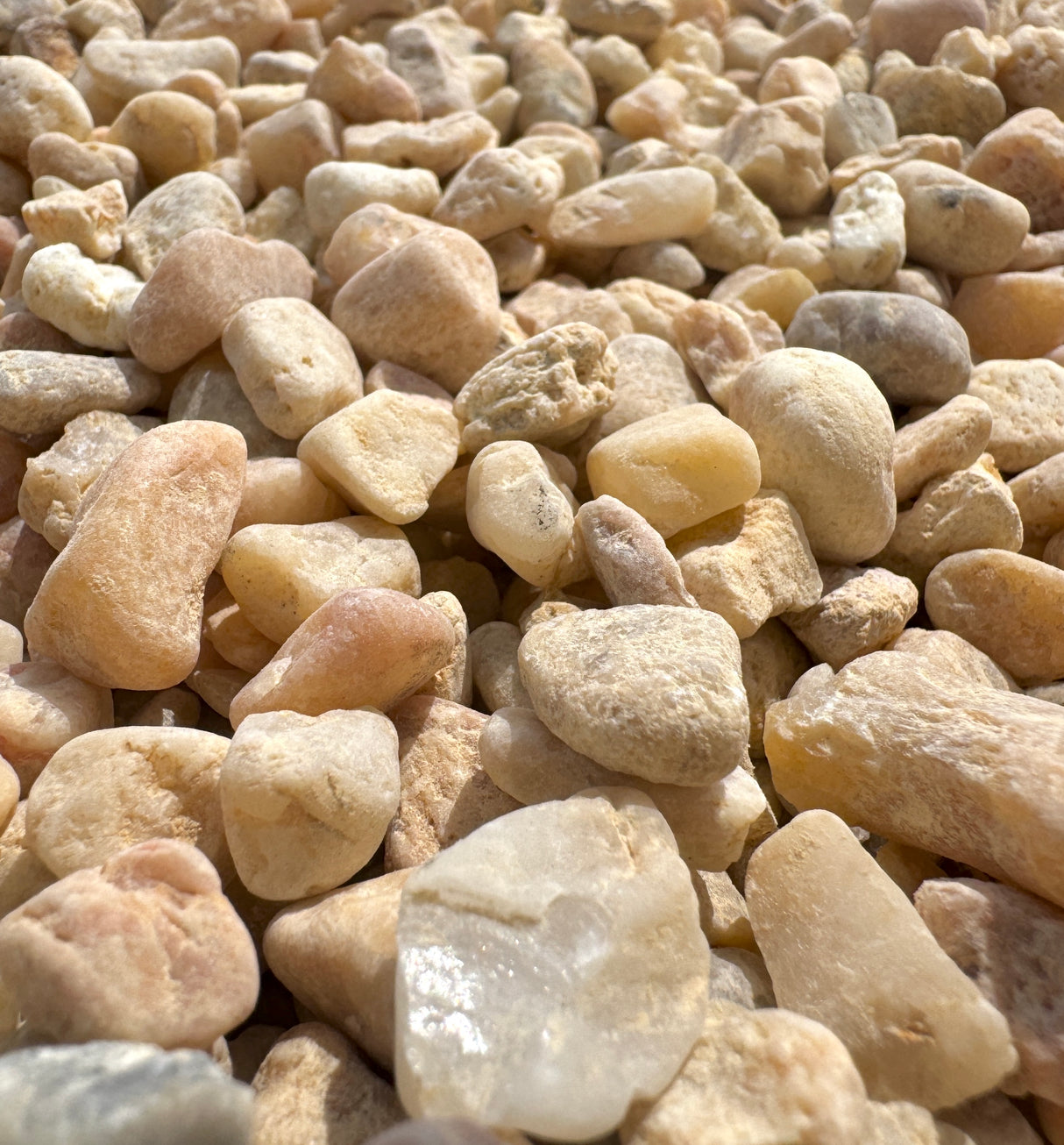 white pea gravel up close showing hues of aggregate