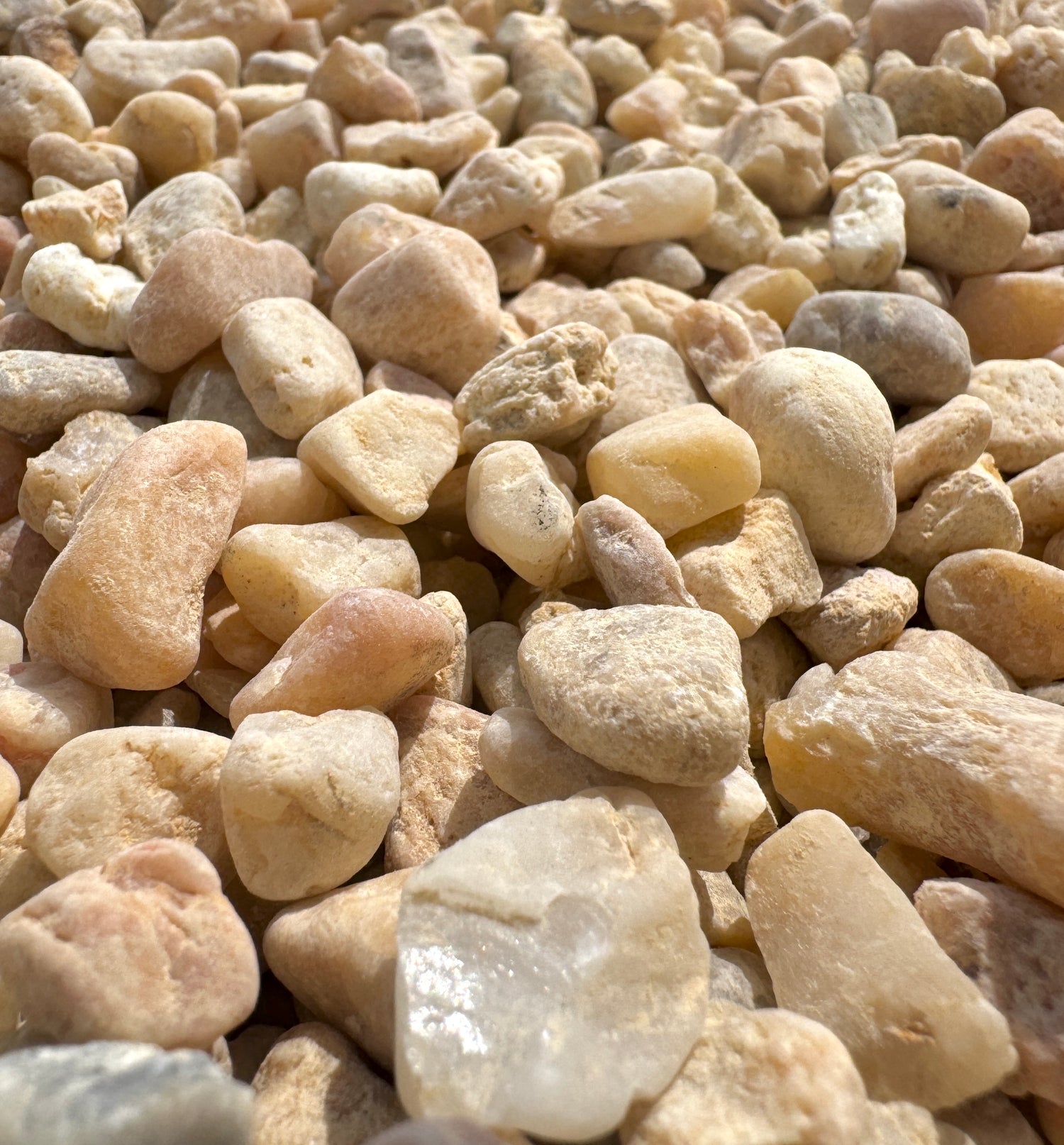 white pea gravel up close showing hues of aggregate