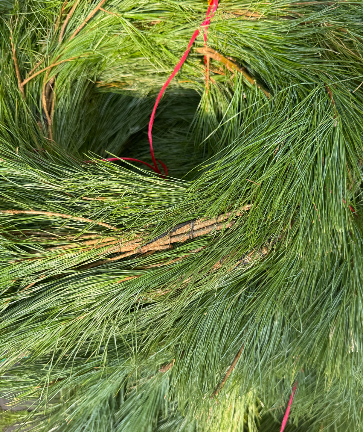 Close-up of a green garland with red string
