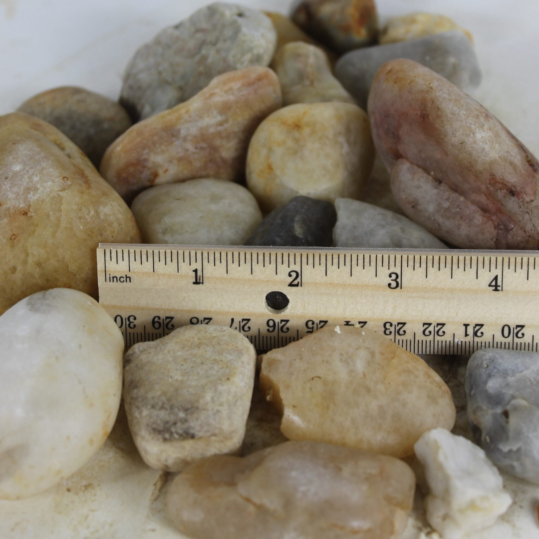 light colored river rock compared to ruler, measuring one to two inches