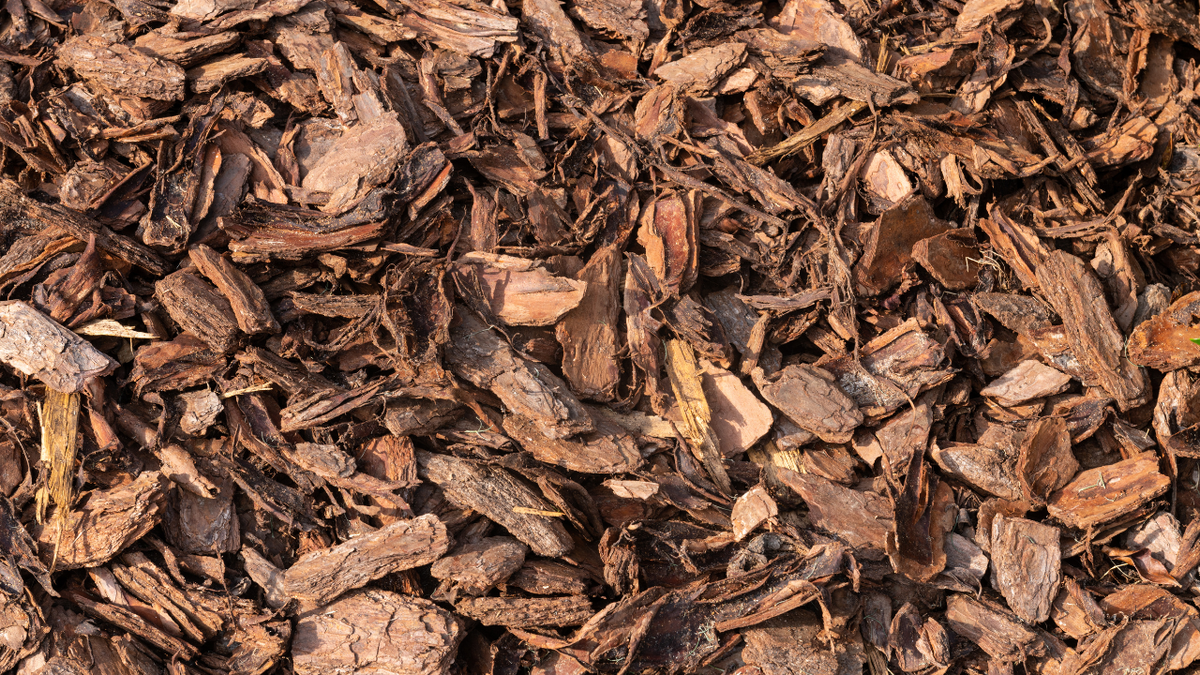 Pine Bark vs. Pine Straw: Choosing the Right Mulch