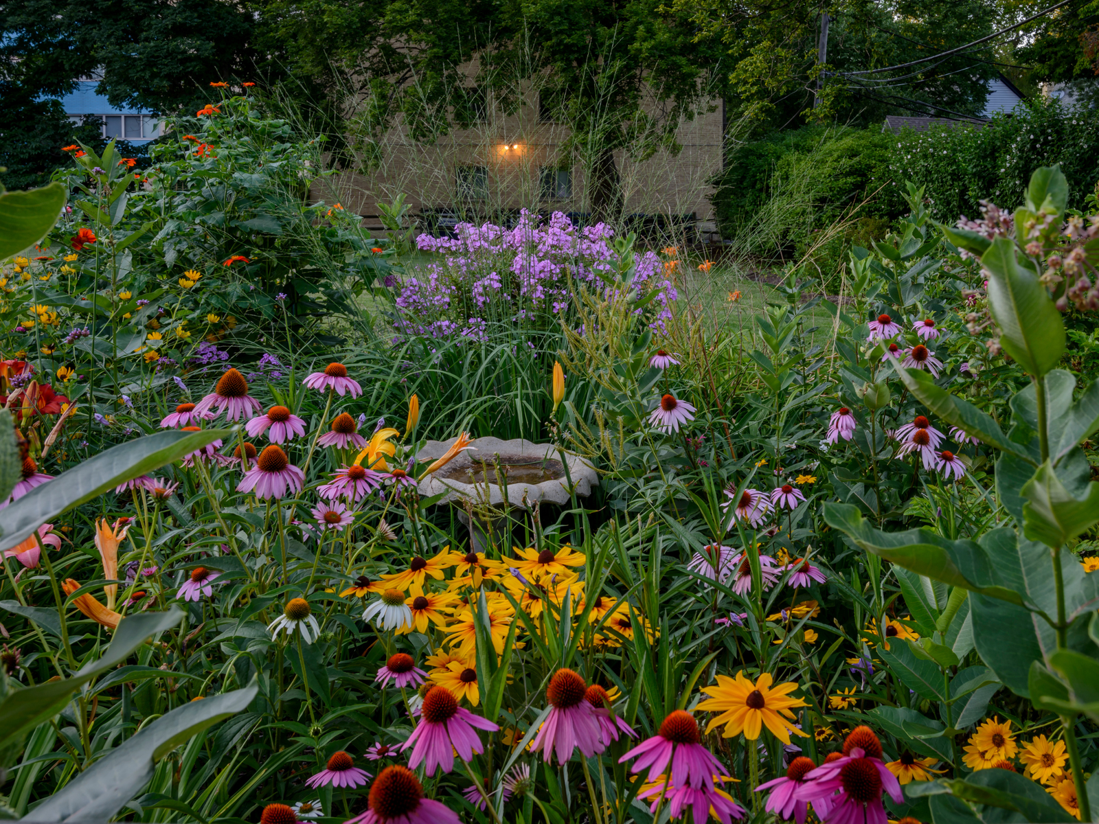 How to Create a Low-Maintenance Florida Garden