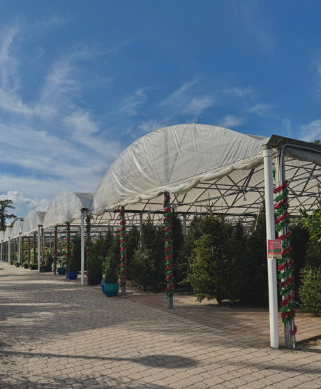 Welcome to the North Pole Nursery: A New Holiday Tradition at Liberty Landscape Supply