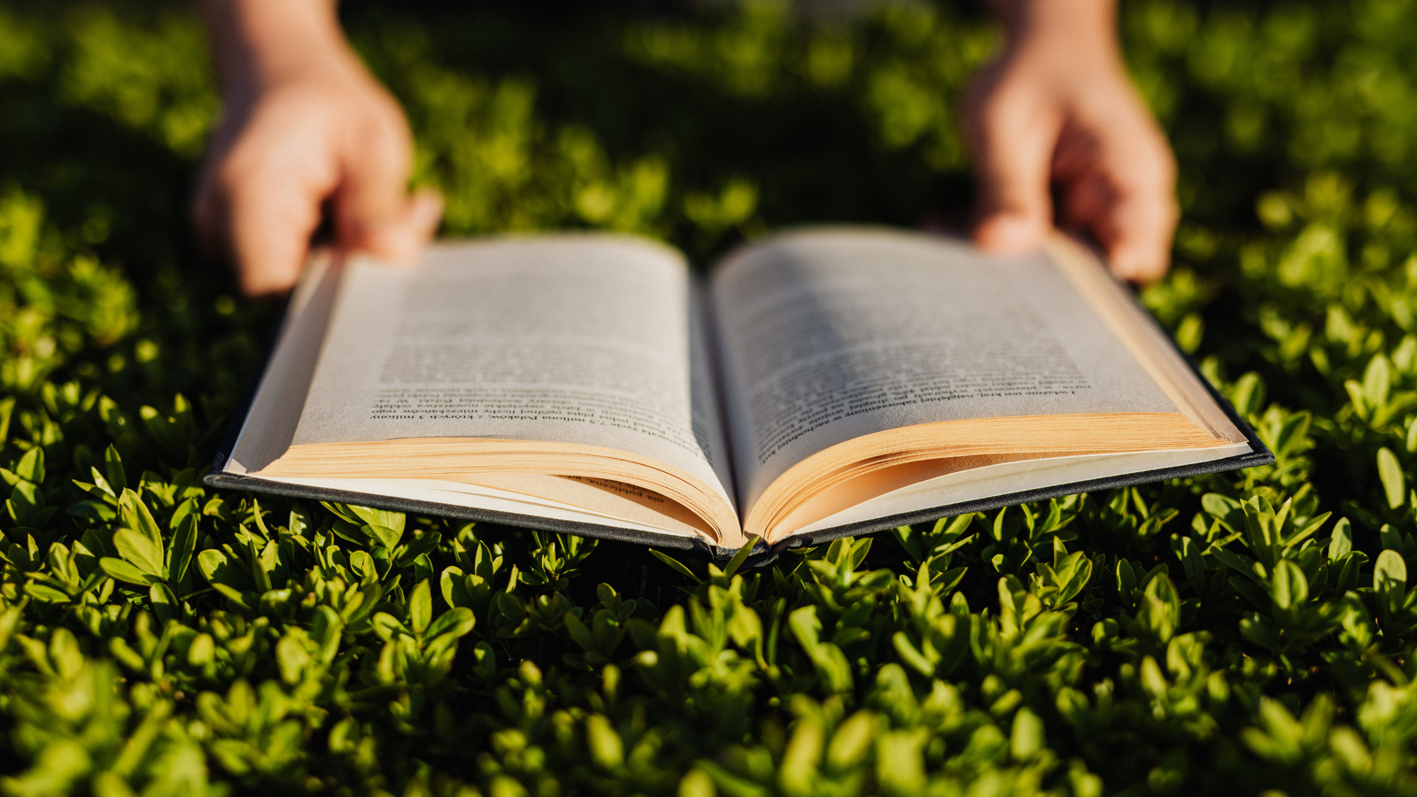 A Summer Reading List for Gardeners