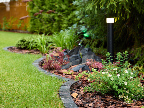 How to Build a Backyard Oasis Without Breaking the Bank