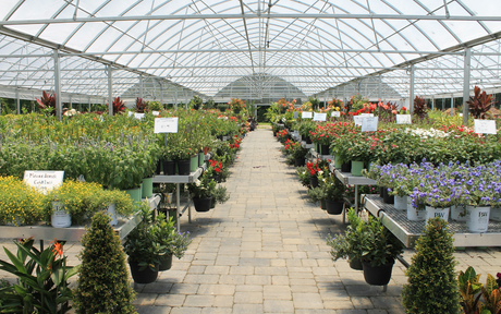 More Than a Garden Center