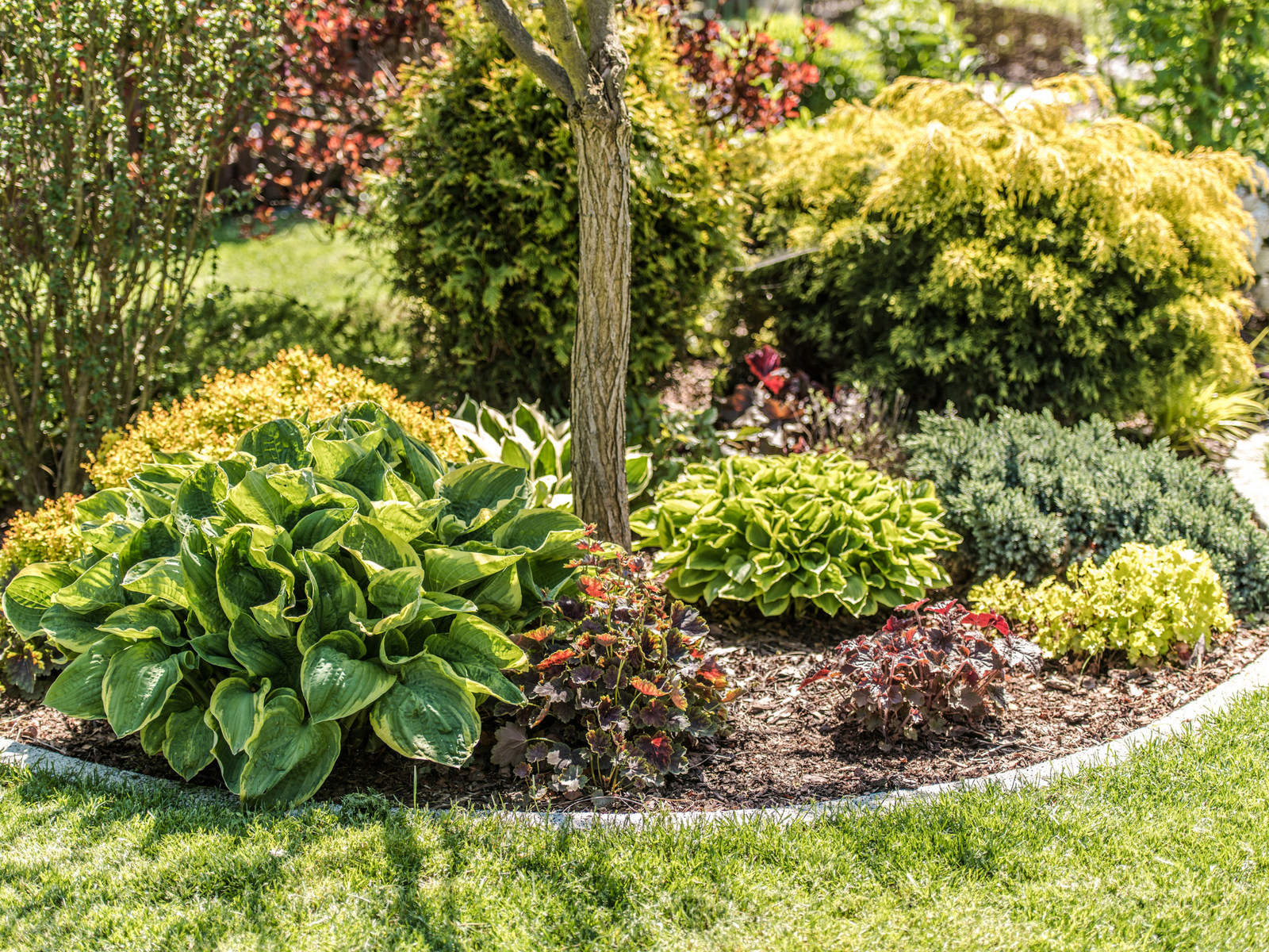 Why the Right Plant in the Right Place Matters
