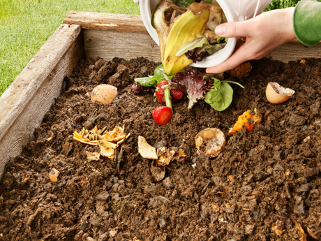 How to Build Your Own Compost Pit in Florida