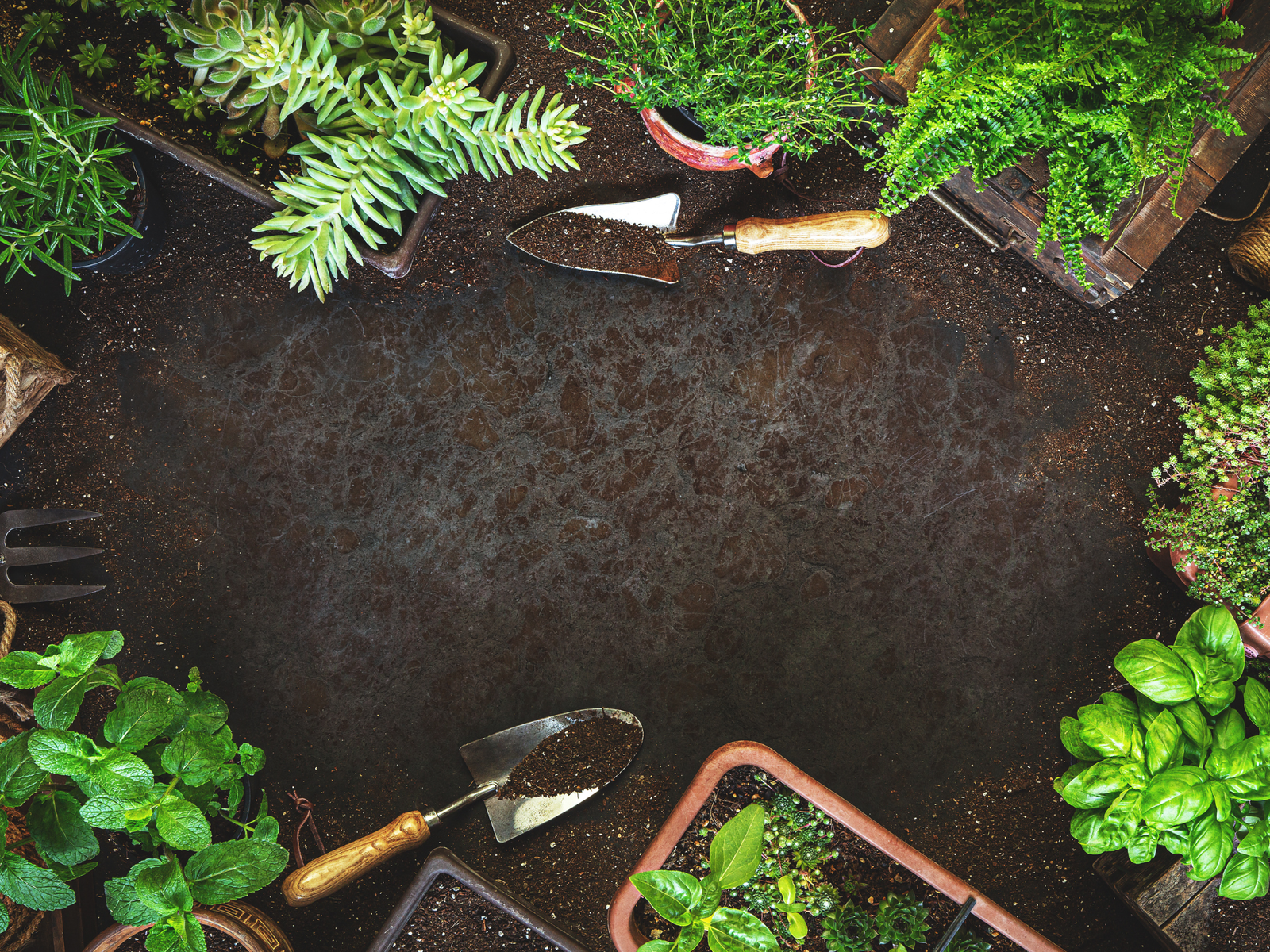 Give the Gift of Nature: Holiday Gift Ideas from Liberty