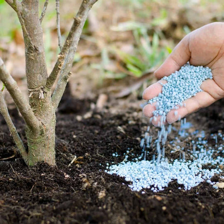 Why Fertilizers Can Be Beneficial To Your Garden