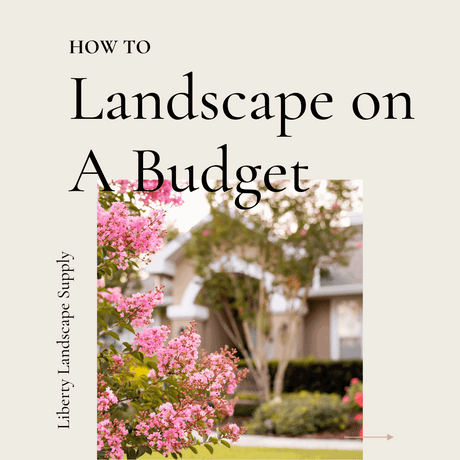 Landscaping on a Budget