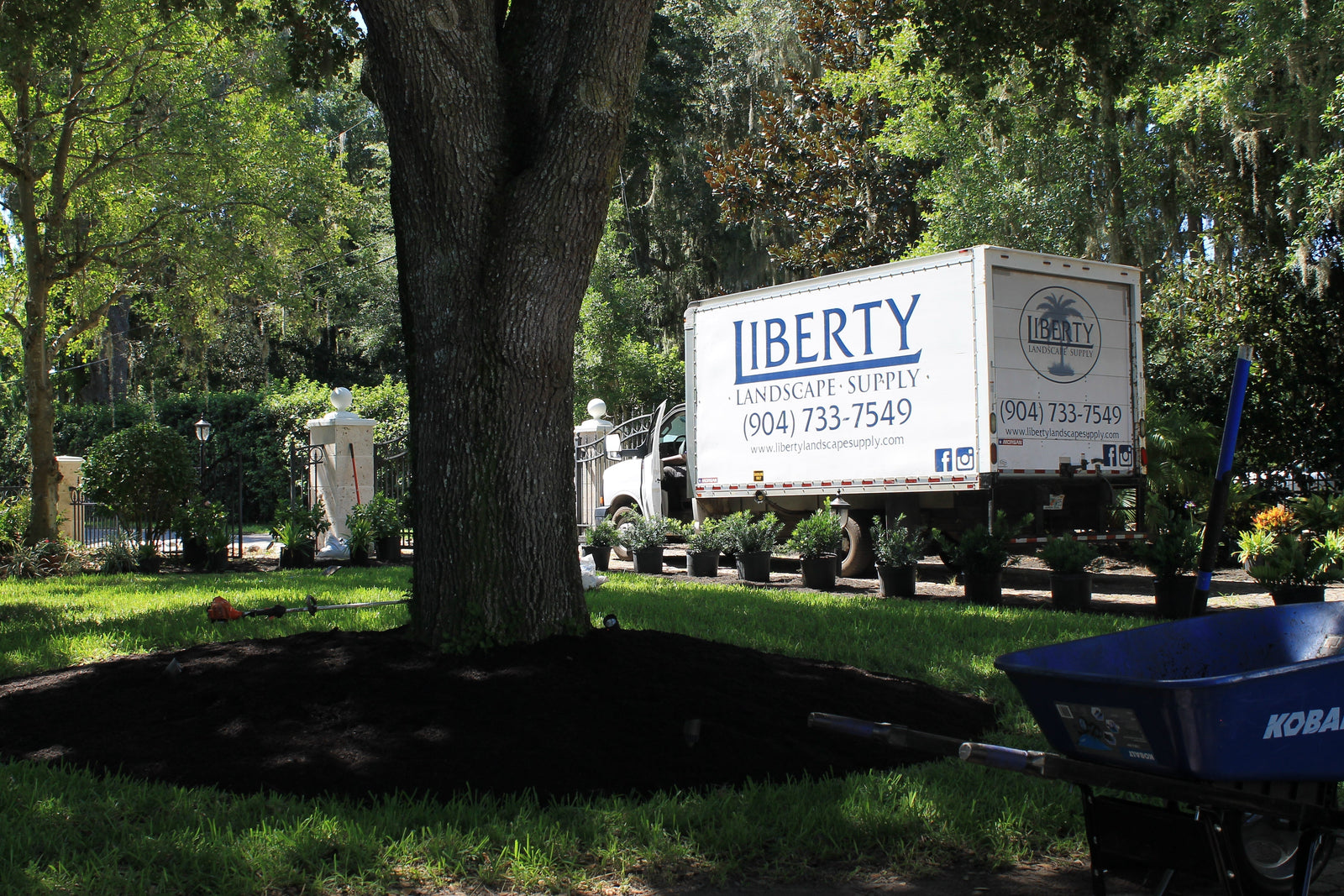 Free Delivery February: The Easiest Time to Refresh Your Landscape