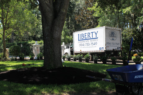 Free Delivery February: The Easiest Time to Refresh Your Landscape