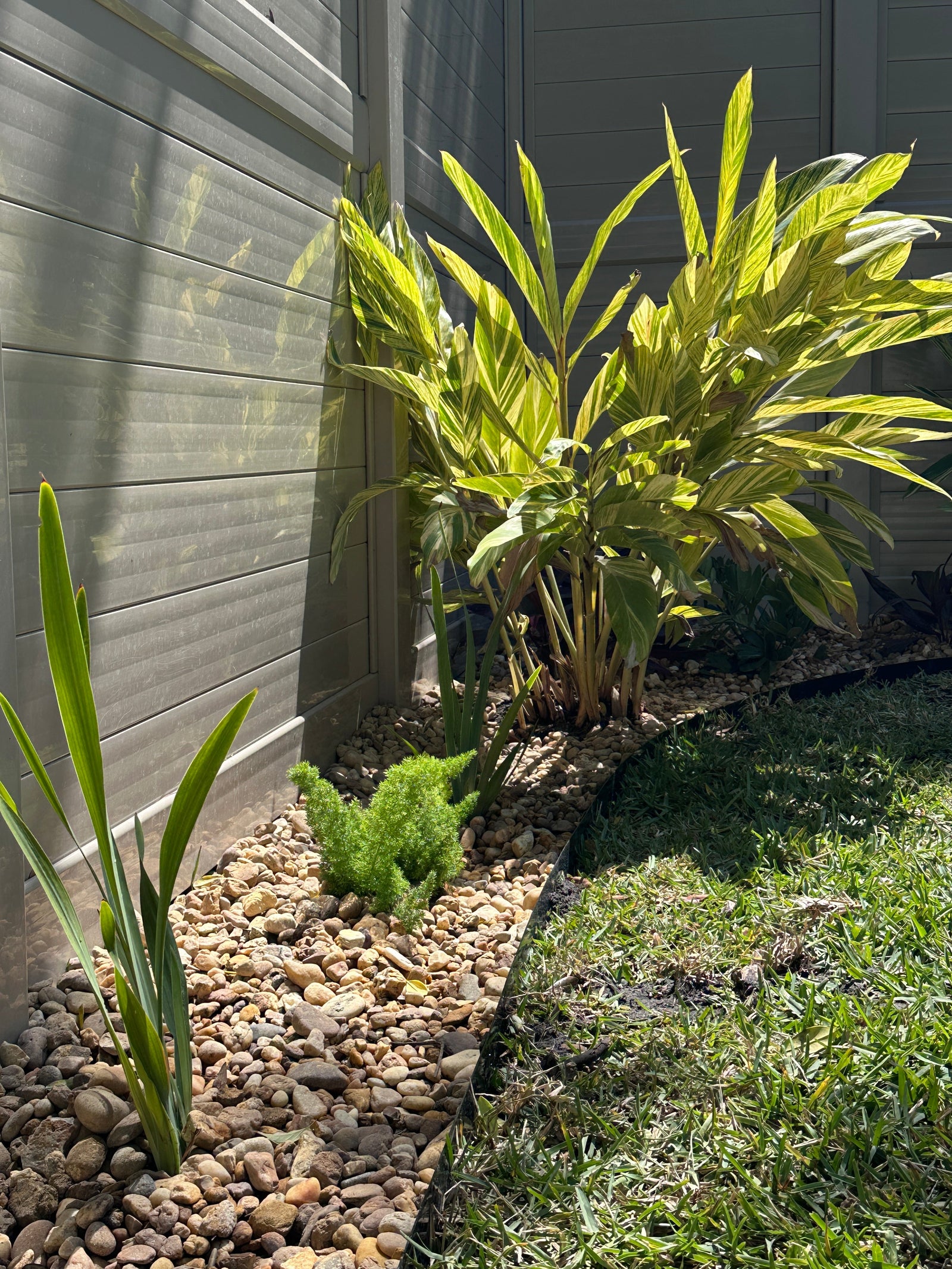 How to Pair Plants and Rock for a Cohesive Landscape