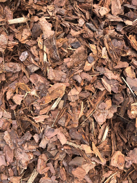 Benefits of Mulch