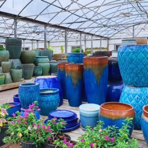 Pottery Training: Should You Invest in Expensive Planters? Unveiling the Impact on Your Plants’ Well-being