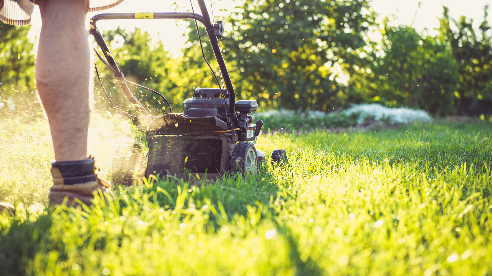What Not to Do With Your Yard in the Florida Summer Heat